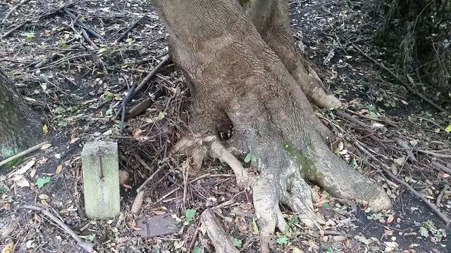 Aspinwall Riverfront Park