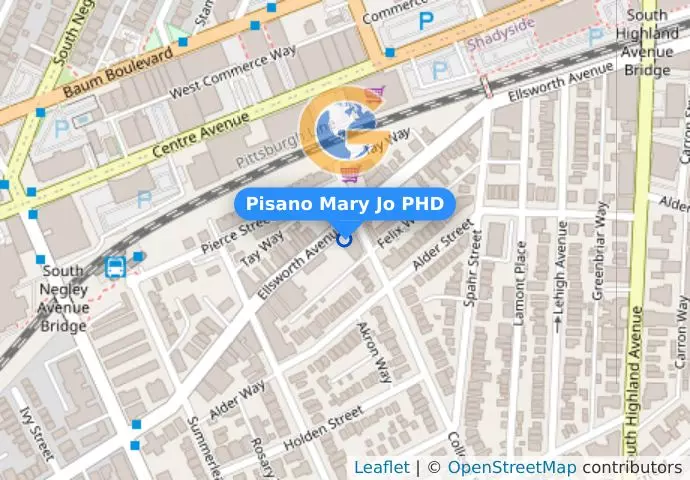Pisano Mary Jo PHD