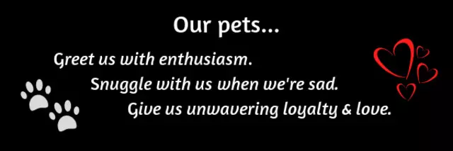 Allegheny North Veterinary Hospital