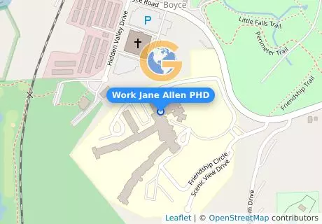Work Jane Allen PHD