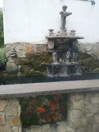Aqua-World Pet Super Center