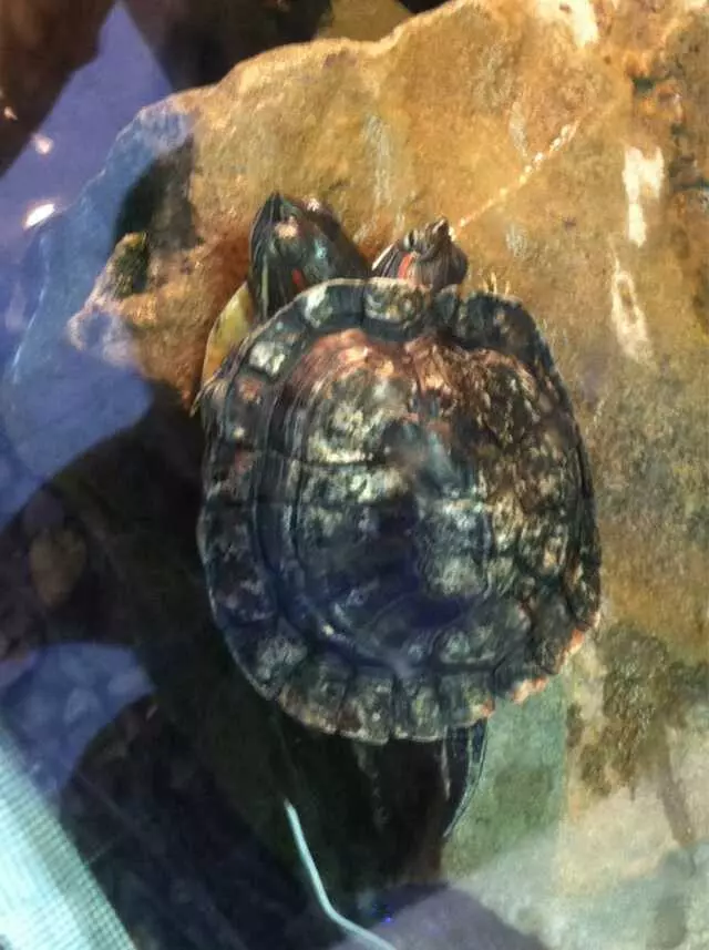 Aqua-World Pet Super Center