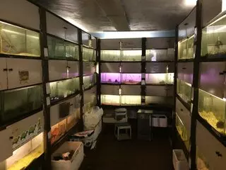 Alan’s Pet Shops