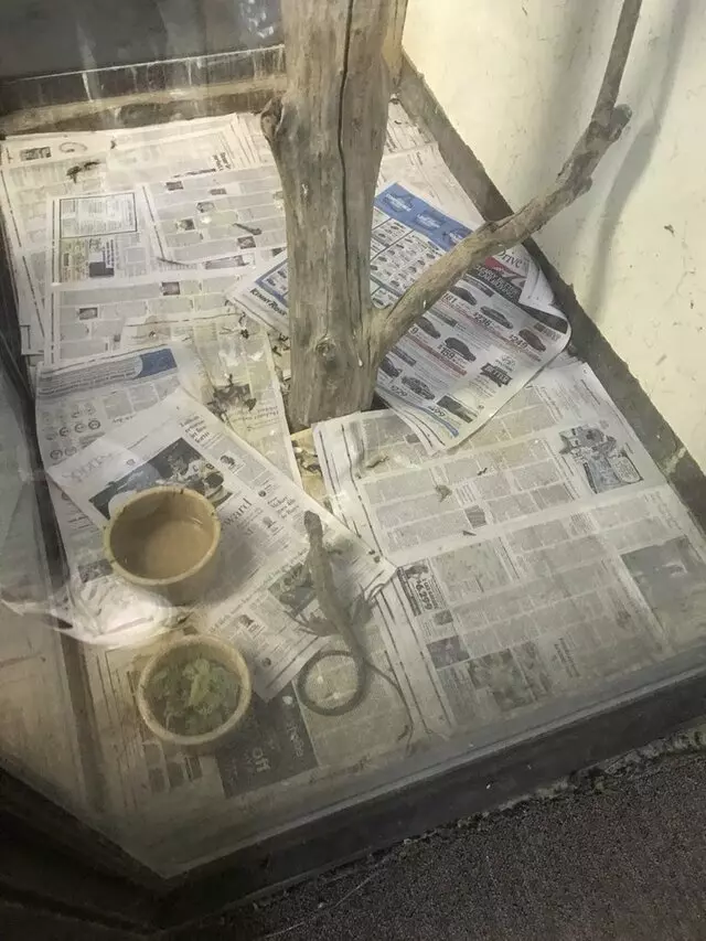 Alan’s Pet Shops