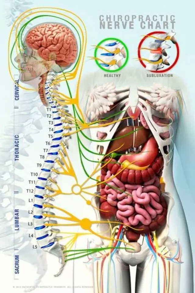 Observatory Hill Chiropractic Center