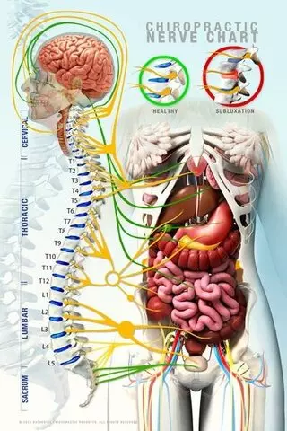Observatory Hill Chiropractic Center