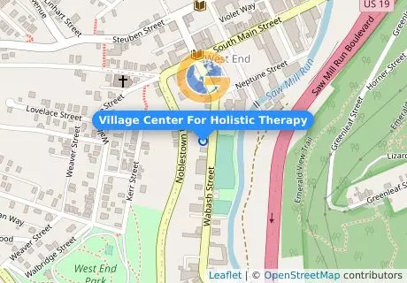 Village Center For Holistic Therapy