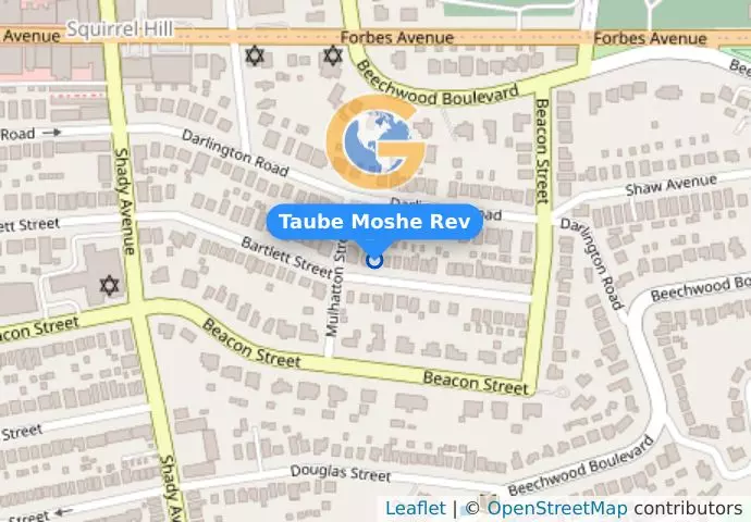 Taube Moshe Rev