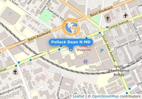 Pollack Dean N MD