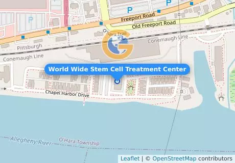 World Wide Stem Cell Treatment Center
