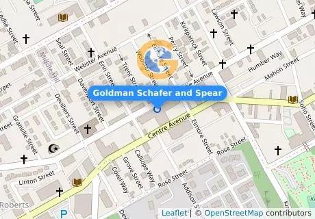 Goldman Schafer and Spear