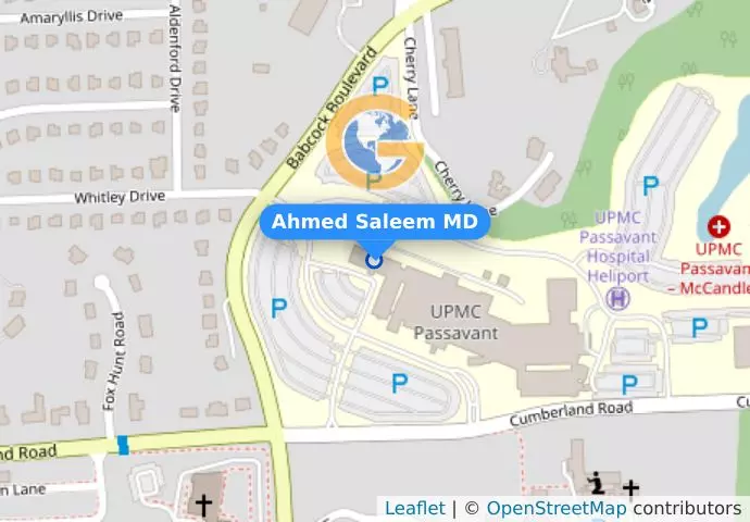 Ahmed Saleem MD