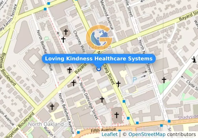Loving Kindness Healthcare Systems